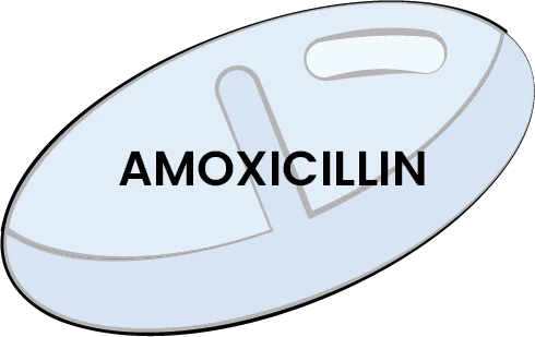 Amoxicillin