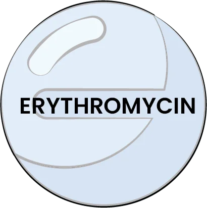 Erythromycin