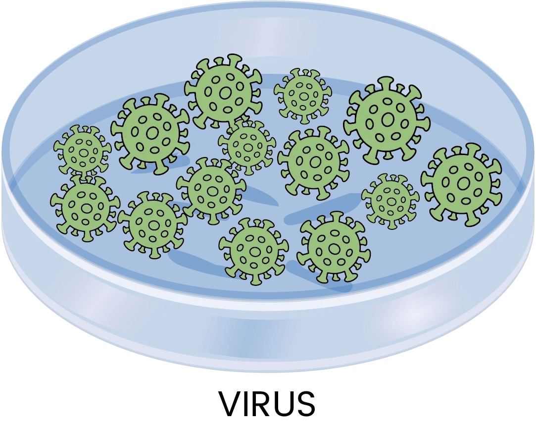 virus